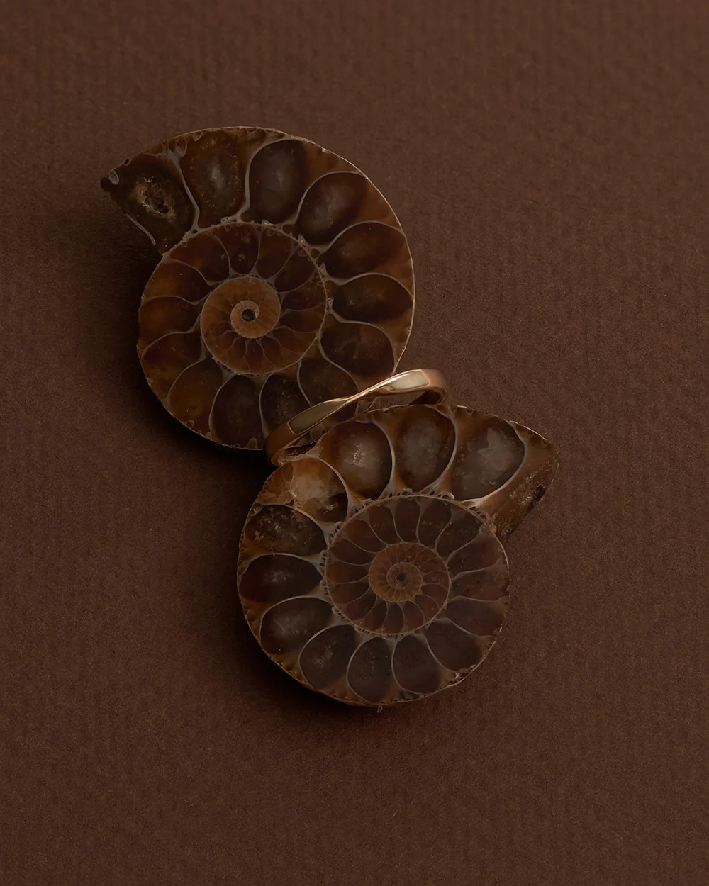PETITE FOLD RING (9K GOLD) - Image 3