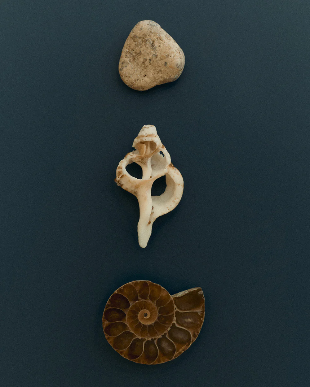 PLACE STUDS (STERLING SILVER) - Image 5